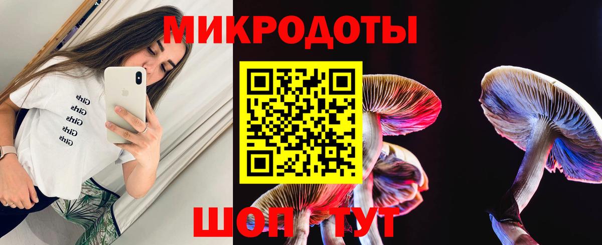 Галлюциногенные грибы мухоморы Новодвинск