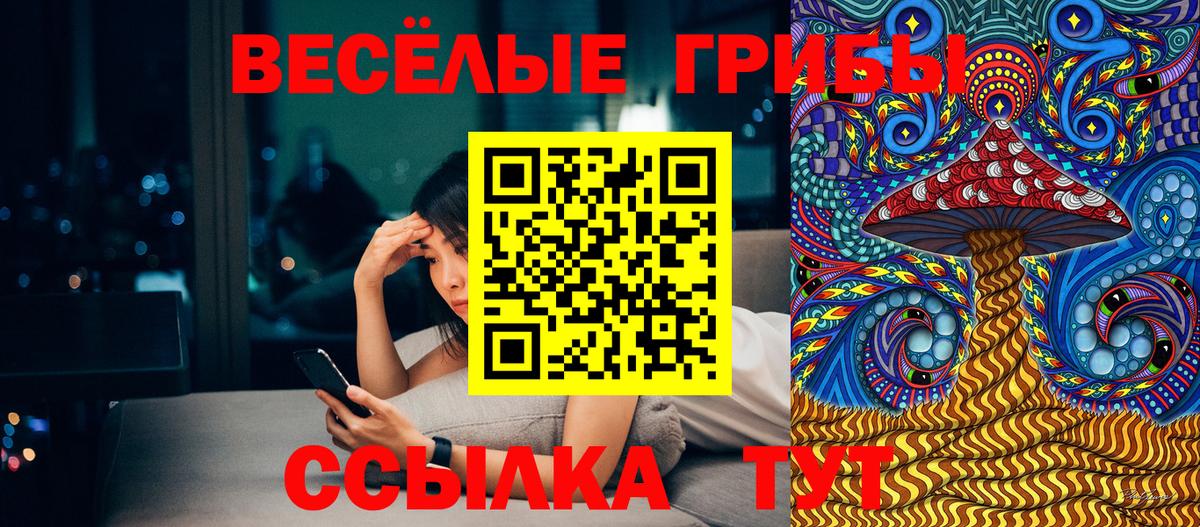 Галлюциногенные грибы прущие грибы  Вход с VPN  Новодвинск 